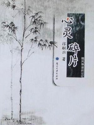 cover image of 心灵碎片 (Fragment of Heart)
